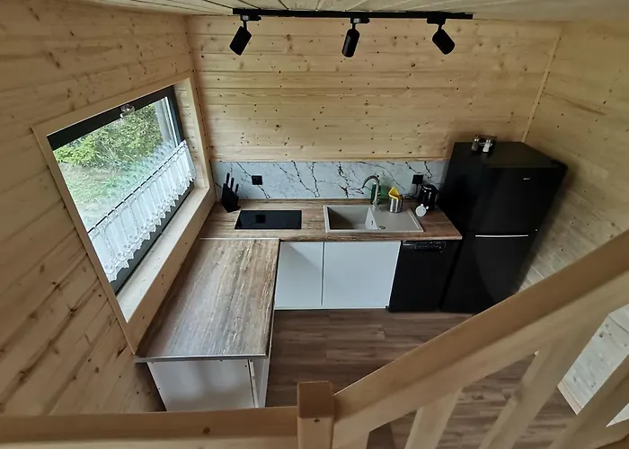 Hortensja 2 * ルシノボ